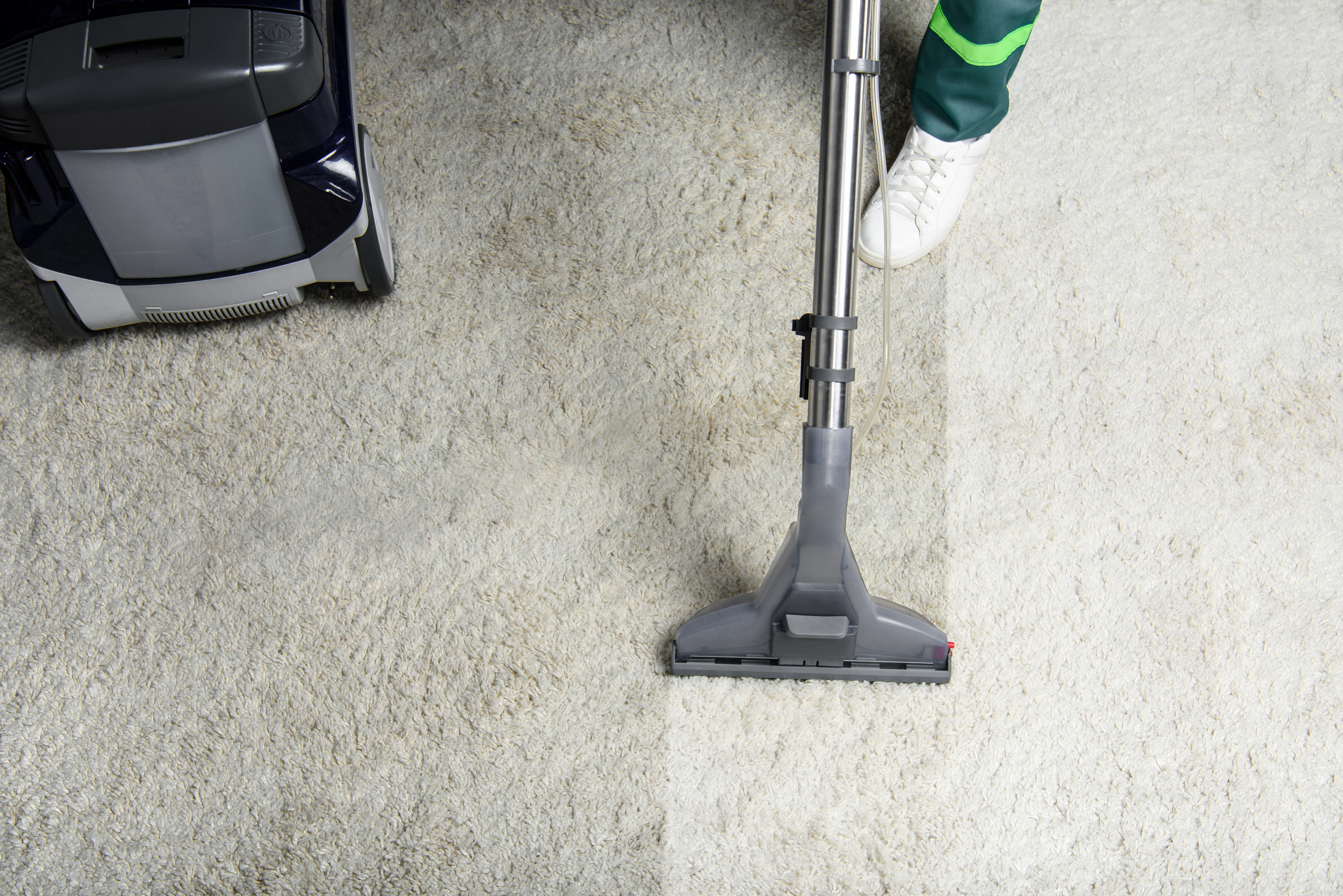 Expert Carpet Cleaning Services in Zurich